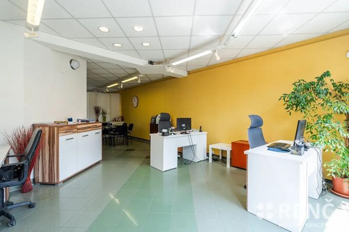 Prodej rodinného domu, Brno, Blatného, 265 m2