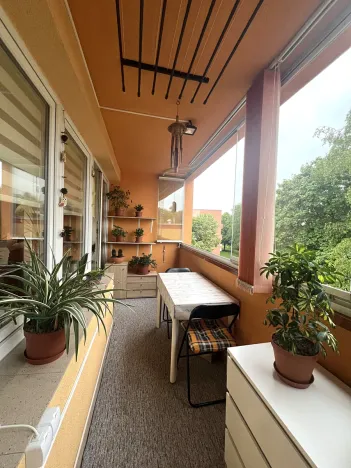 Prodej bytu 2+kk, Orlová, Osvobození, 53 m2
