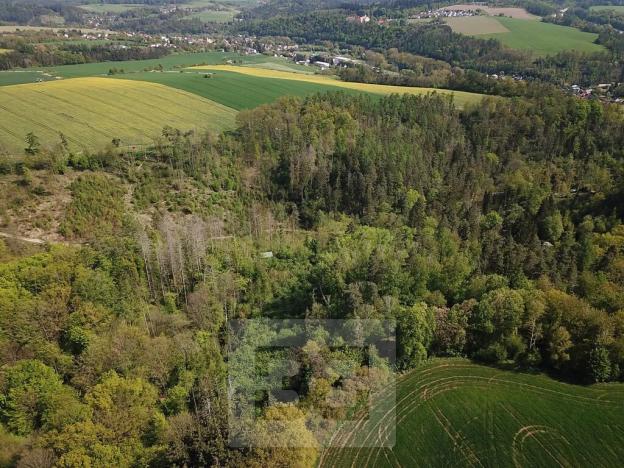 Prodej lesa, Chocerady, 4369 m2