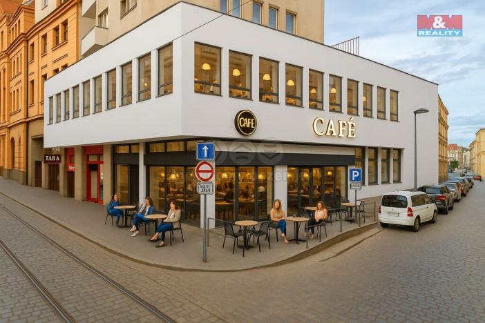 Pronájem restaurace, Plzeň - Vnitřní Město, Solní, 365 m2