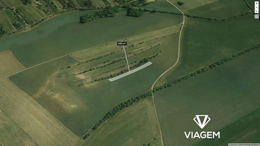 Prodej podílu pole, Brumovice, 540 m2