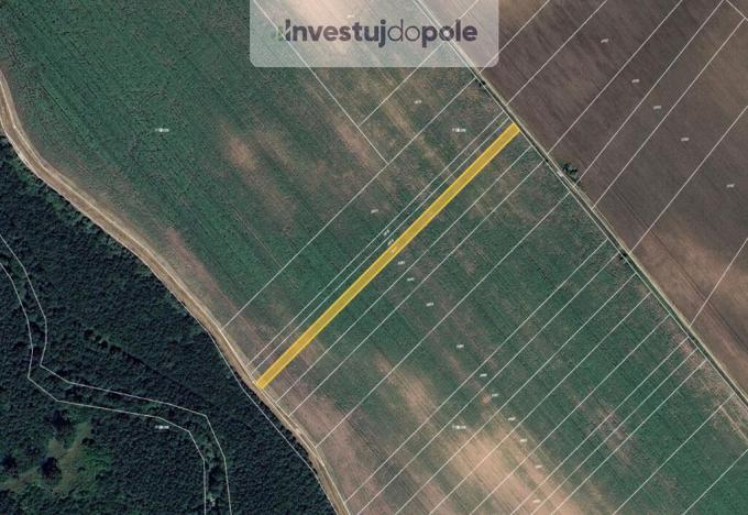 Prodej pole, Kostice, 1444 m2