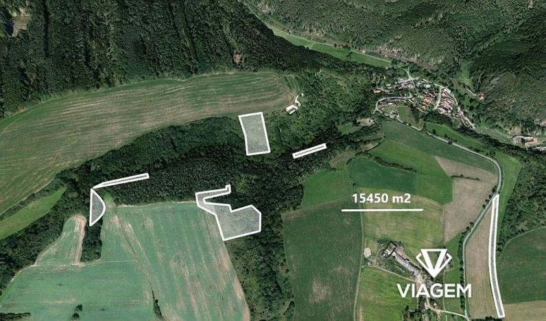 Prodej podílu lesa, Chlum, 2809 m2