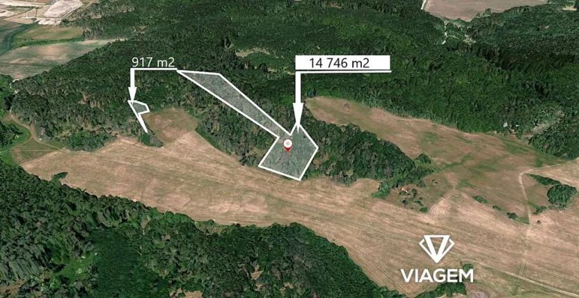Prodej lesa, Klučov, 11430 m2