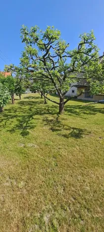 Prodej rodinného domu, Nezamyslice, 300 m2