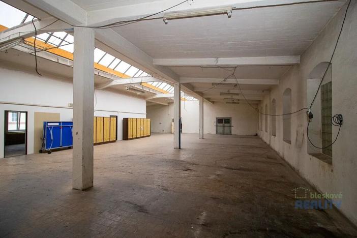 Pronájem výrobních prostor, Brandýs nad Labem-Stará Boleslav, 826 m2