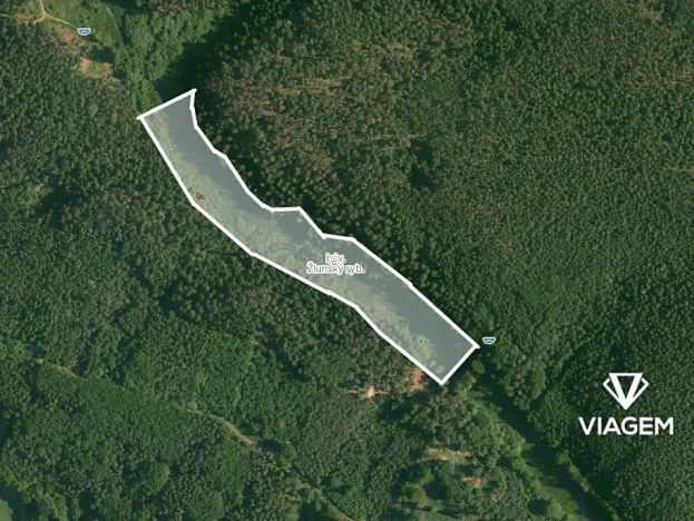 Prodej podílu lesa, Kněžmost, 2803 m2