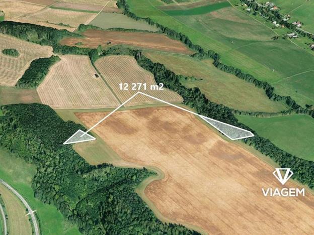 Prodej podílu lesa, Prosečné, 3067 m2