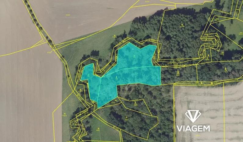 Prodej lesa, Praha, 4675 m2