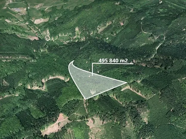 Prodej podílu lesa, Vizovice, 3443 m2