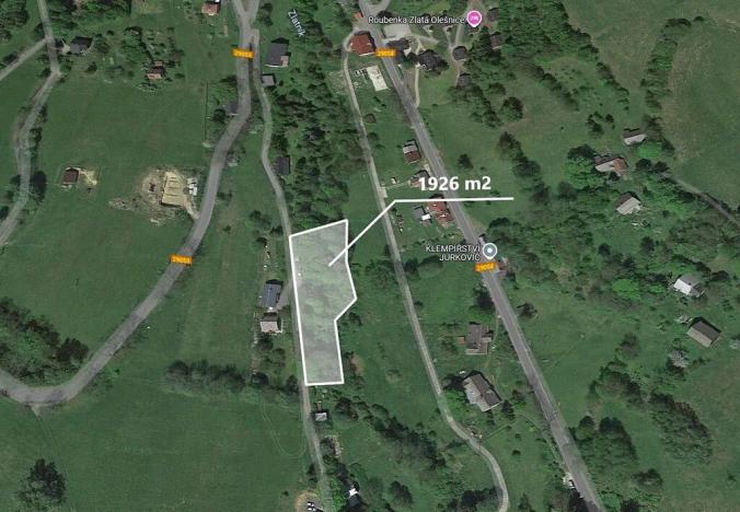 Prodej podílu lesa, Zlatá Olešnice, 481 m2