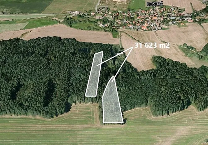 Prodej podílu lesa, Losiná, 2635 m2