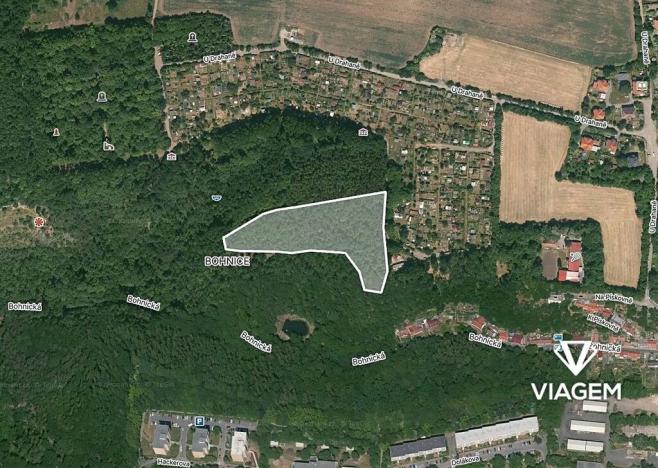 Prodej lesa, Praha - Bohnice, 13833 m2