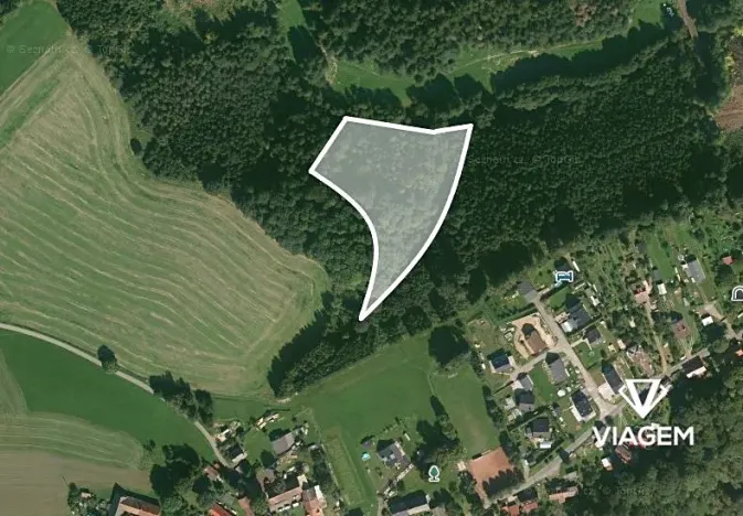 Prodej podílu lesa, Velké Petrovice, 4922 m2