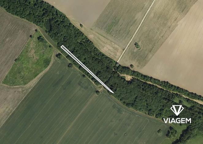 Prodej lesa, Mikulčice, 1009 m2