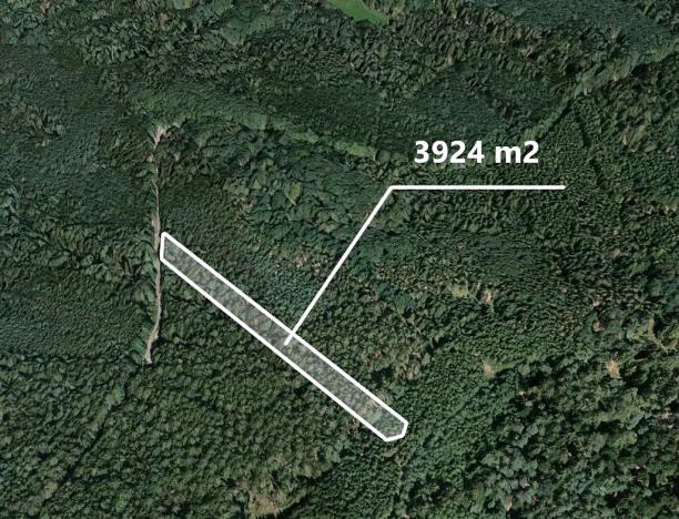 Prodej lesa, Hradiště, 3924 m2
