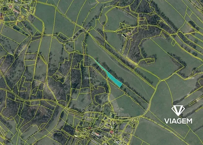 Prodej podílu lesa, Lovečkovice, 651 m2