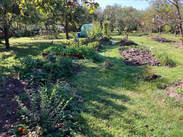 Prodej rodinného domu, Orlické Podhůří, 267 m2