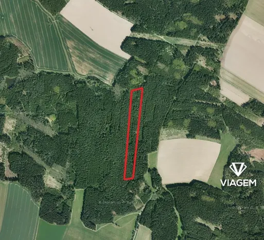 Prodej podílu lesa, Věžnice, 598 m2