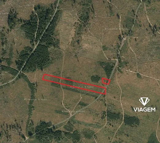 Prodej podílu lesa, Nová Hradečná, 709 m2