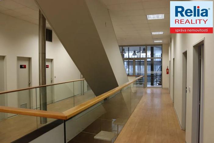 Pronájem obchodního prostoru, Liberec, nám. Soukenné, 277 m2