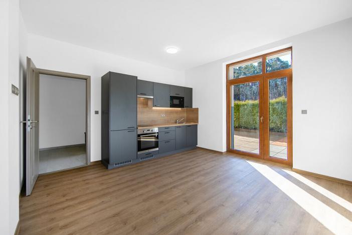Pronájem bytu 1+kk, Zruč-Senec - Zruč, Sportovní, 66 m2