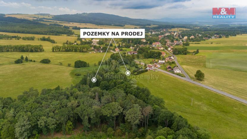 Prodej louky, Dětřichov, 4178 m2