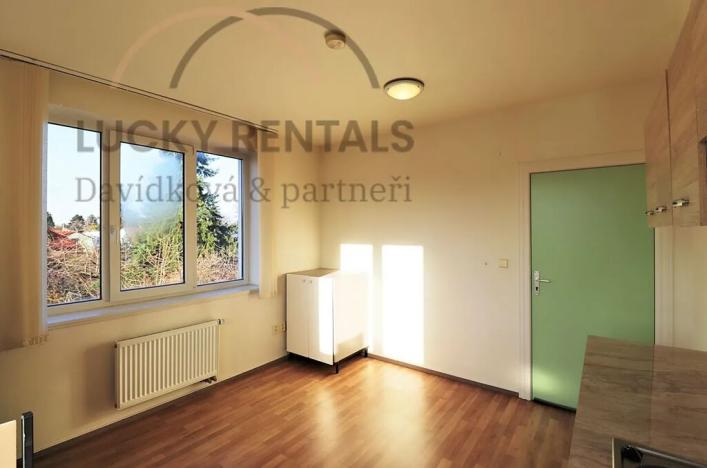 Pronájem bytu 1+kk, Průhonice, U Křížku, 20 m2
