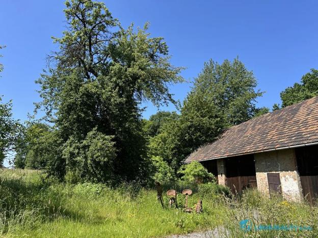 Prodej rodinného domu, Horní Bludovice, 200 m2