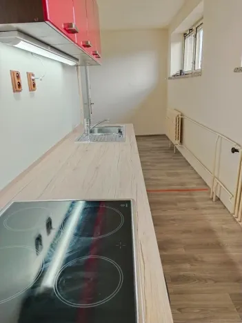 Pronájem bytu 1+1, Kozojedy, 48 m2