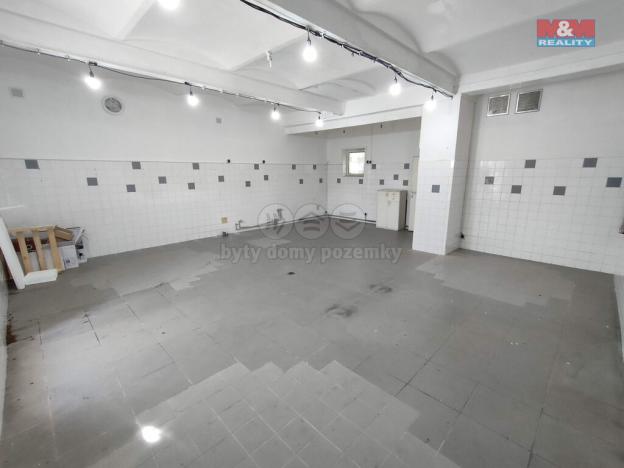 Pronájem skladu, Ostrava - Radvanice, Těšínská, 57 m2