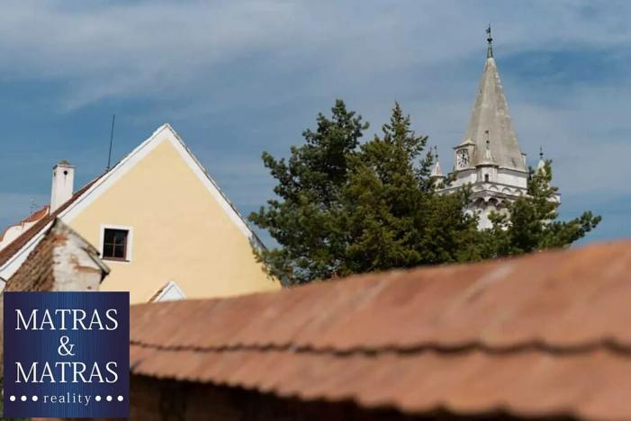 Prodej domu, Pavlov, Na Návsi, 270 m2