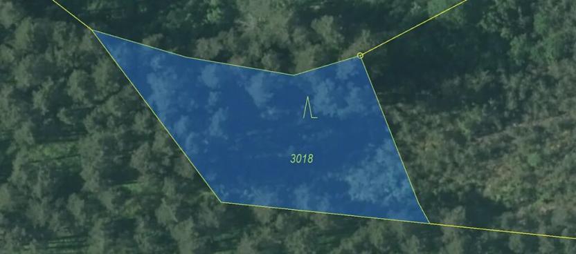 Prodej lesa, Nová Bystřice, 1141 m2