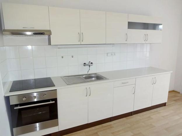 Pronájem bytu 1+1, Brno, Palackého třída, 55 m2