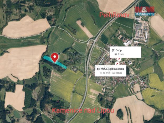 Prodej lesa, Božejov, 17153 m2