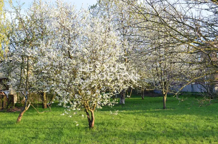 Prodej pozemku pro bydlení, Mohelnice, Na blatech, 2573 m2