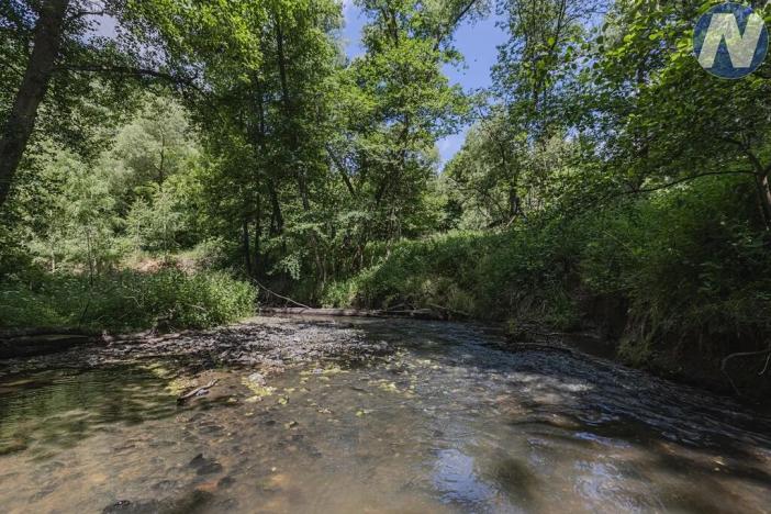 Prodej rybníku, Planá, 1939 m2