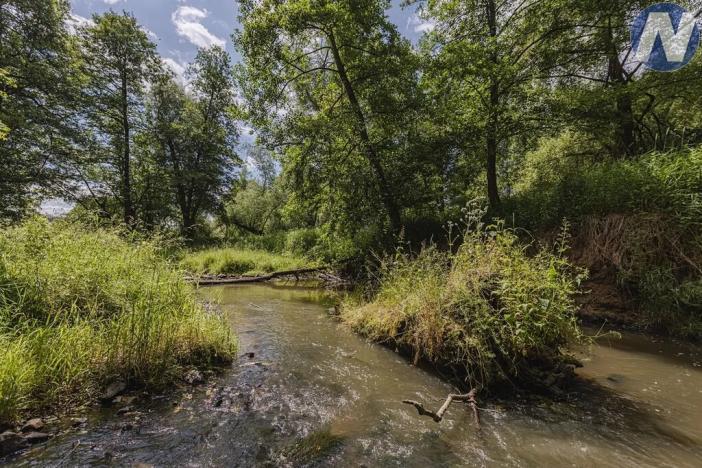 Prodej rybníku, Planá, 1939 m2