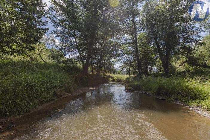 Prodej rybníku, Planá, 1939 m2