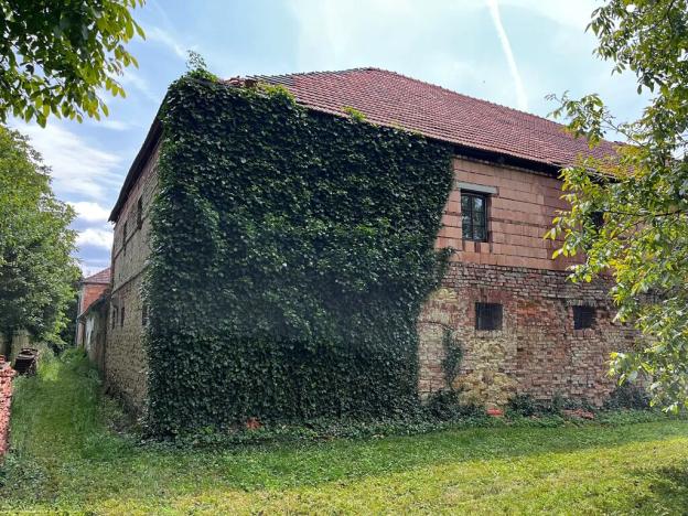 Prodej zemědělské usedlosti, Gruna, 851 m2