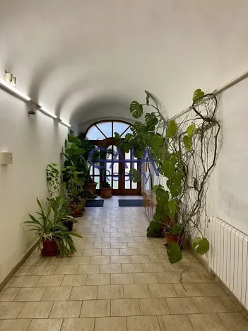 Pronájem kanceláře, Veselí nad Moravou, Zámecká, 40 m2