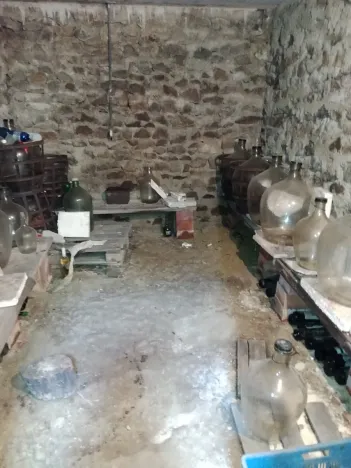 Prodej rodinného domu, Hrušovany nad Jevišovkou, 300 m2