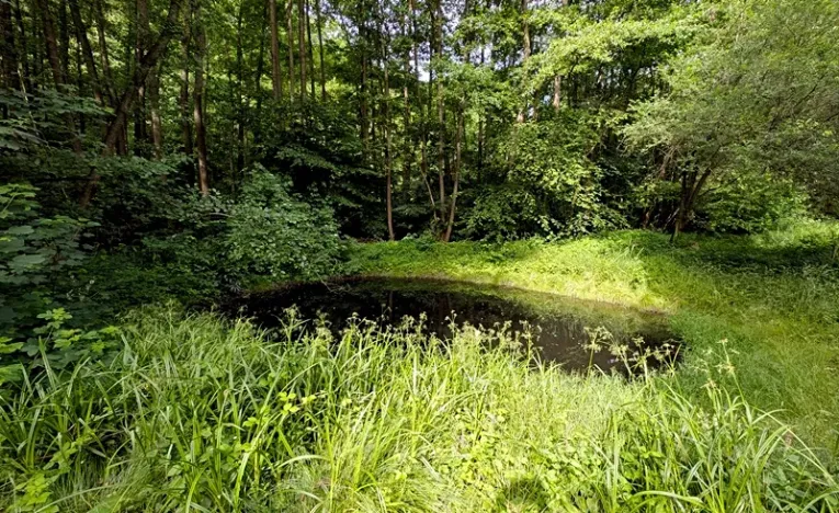 Prodej pozemku, Vizovice, 32591 m2