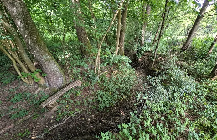 Prodej pozemku, Vizovice, 32591 m2