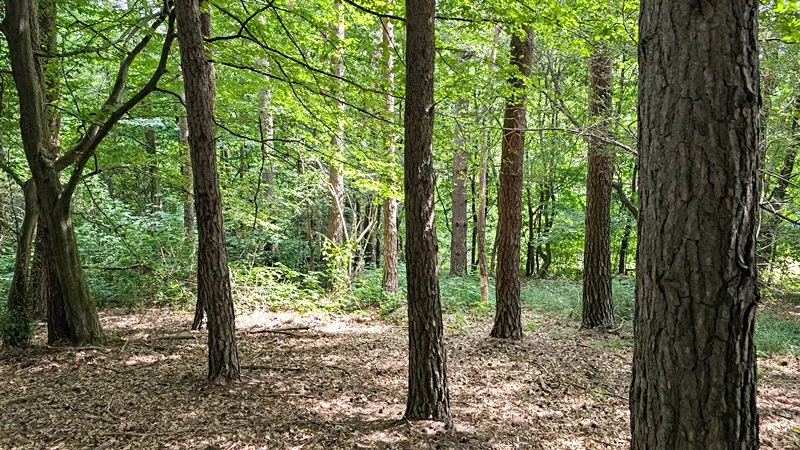 Prodej pozemku, Vizovice, 32591 m2