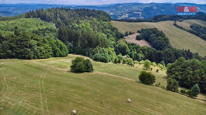 Prodej louky, Prlov, 14409 m2