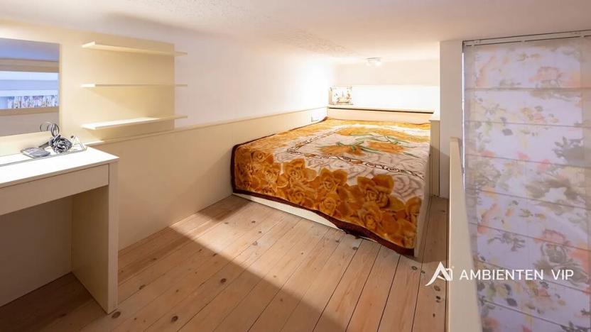 Prodej bytu 5+kk, Brno, 257 m2