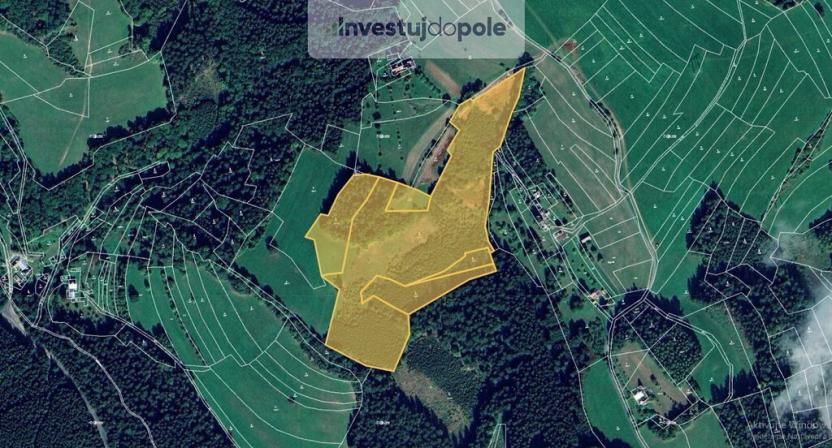 Prodej lesa, Valašská Senice, 54930 m2