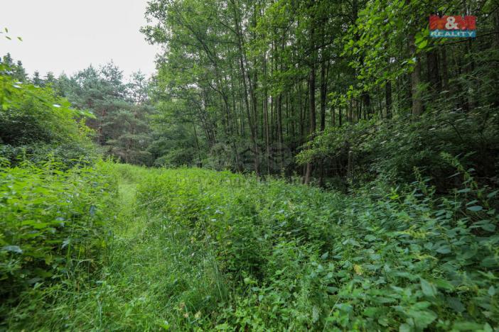 Prodej pole, Svárov, 11043 m2