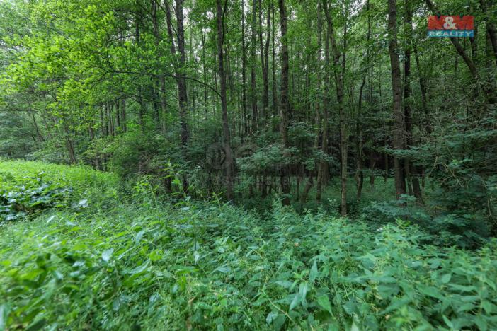 Prodej pole, Svárov, 11043 m2